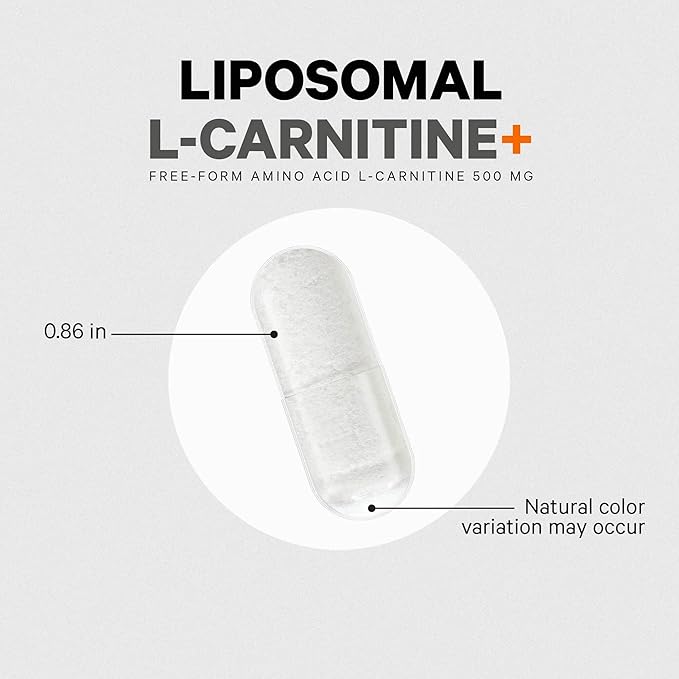 Codeage Liposomal L-Carnitine+ Supplement - 500 mg L-Carnitine L-Tartrate per Serving - Free-Form Amino Acid - Carnitine - Liposomal Delivery - Vegan, Non-GMO, Gluten-Free - 90 Capsules