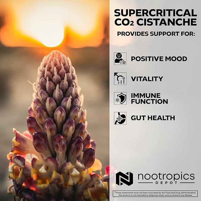 Nootropics Depot Cistanche Supercritical CO2 Extract Capsules | 20% Echinacoside + 20% Verbascoside (Acetoside) | 120 Count