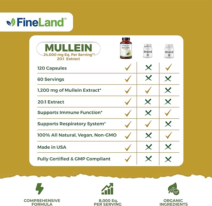 FineLand Mullein Leaf 20x Extract 24,000mg Eq. Per Serving, Max Strength Immune Support, Respiratory, Lung & Bronchial Support, Sinus, 120 Capsules, 2 Month Supply