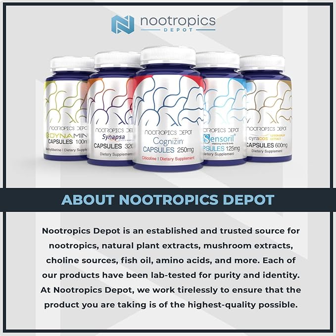 Nootropics Depot Green Tea Extract Tablets | 60 Count | 500mg | Minimum 45% EGCG + 6mg Piperine | Enteric Coated