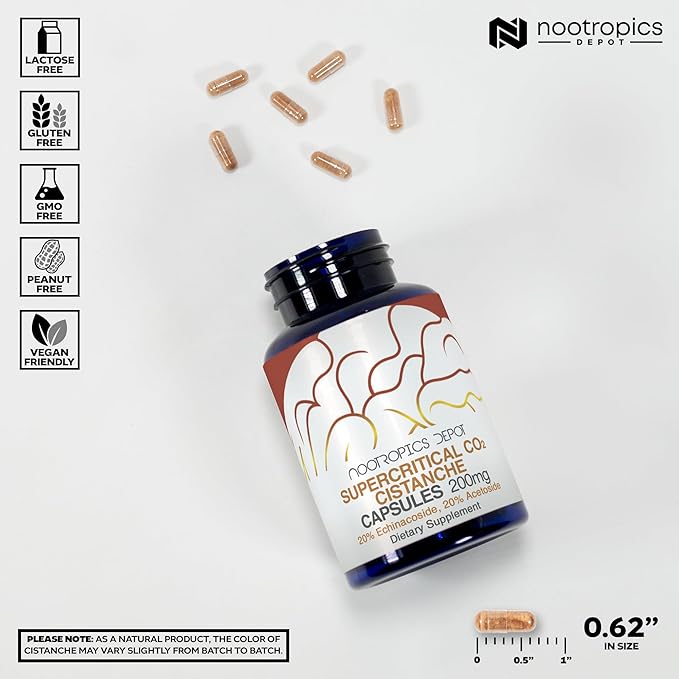 Nootropics Depot Cistanche Supercritical CO2 Extract Capsules | 20% Echinacoside + 20% Verbascoside (Acetoside) | 120 Count
