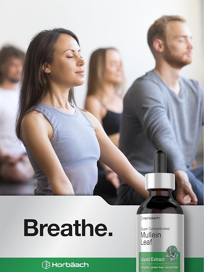 Horbäach Mullein Leaf Extract Drops | 2 fl oz | Alcohol Free Liquid Tincture | Vegetarian, Non-GMO & Gluten Free Herbal Supplement