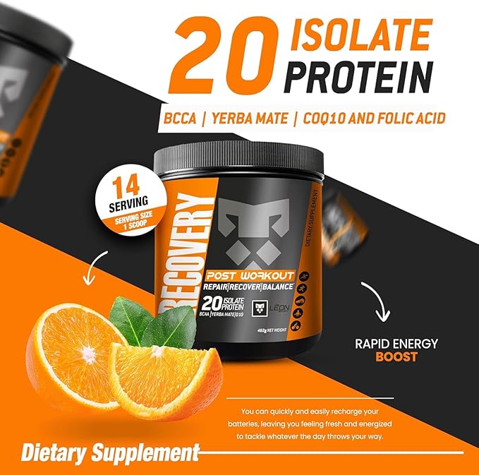 Leon Sport Post Workout Recovery Powder/Muscle Recovery Powder with Protein, COQ10, Amino Acids and BCAA/Daily Protein & Amino Acid - 14 Servings