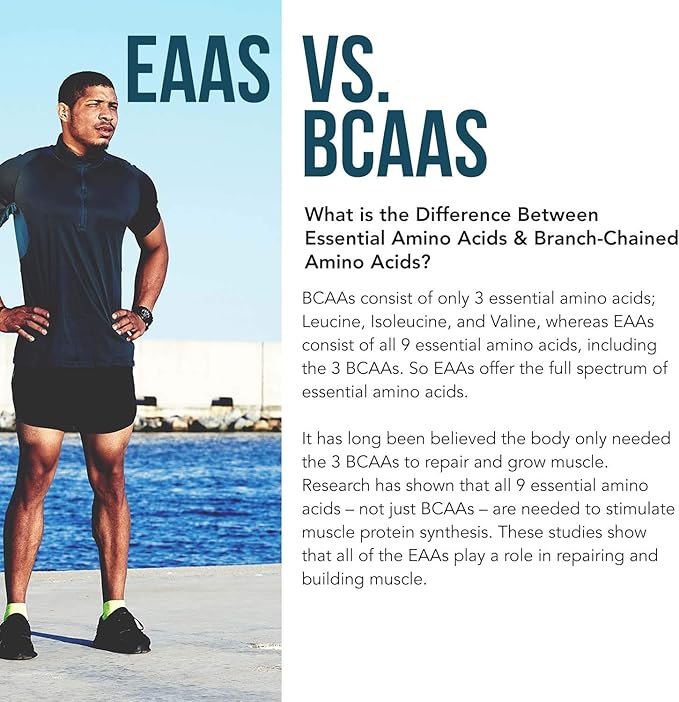 Plant Aminos Organic Essential Amino Acids (EAAs) & BCAA - 100% Plant-Based Raw, Vegan - All 9 Amino Acids with 18 Total Amino Acids (360 Tablets)