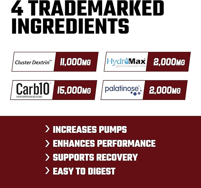 Axe & Sledge Supplements Demo Day Intra-Workout Carbohydrate Powder with Cluster Dextrin, Carb10, Hydromax, & Palatinose, Enhances Performance and Pumps, 30 Servings (Unflavored)