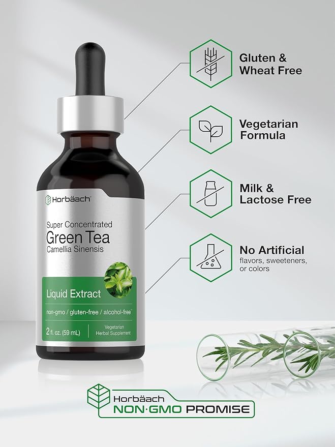 Horbäach Green Tea Extract Liquid | 2 Fl Oz | Alcohol Free, Vegetarian Tincture | Super Concentrated Supplement | Non-GMO, Gluten Free