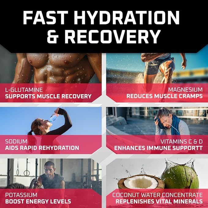 New Age Performance Hydration Packets, Electrolytes Powder, Liquid Enhancer for Dehydration Relief, L-Glutamine Amino Acids for Muscle Workout Recovery, Sugar Free & 0 Calorie, 16 Sticks (Fruit Punch)