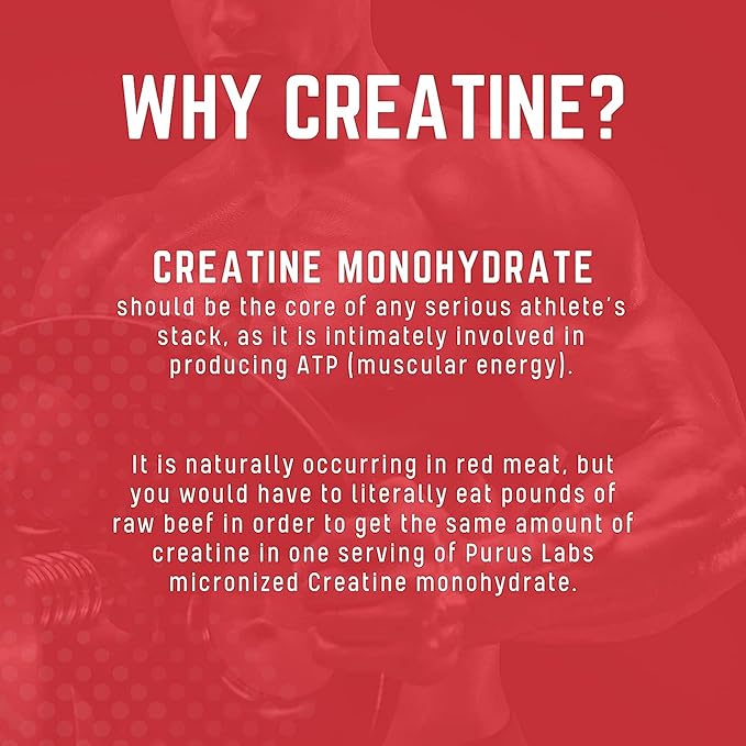 Purus Labs Foundation Series Creatine Powder | 100% Ultra Pure Micronized Creatine for Strength, Mass, Power, Recovery | 60 Servings (Unflavored)