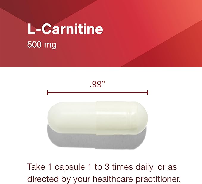 PROTOCOL FOR LIFE BALANCE L-Carnitine 500mg - Cell Energy Metabolism - Exercise Performance, Recovery - 60 Veg Caps