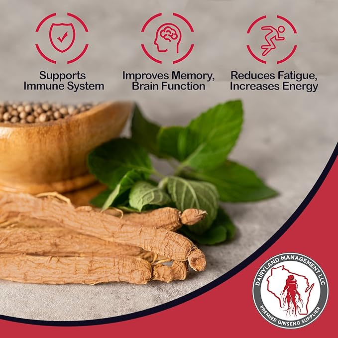 Dairyland Red Ginseng Extract 2 FL oz - Red Panax Ginseng Extract for Immune Support - Authentic Korean Red Ginseng - Non-GMO, Gluten Free Ginseng Liquid - Ginseng HerbSupplement for Daily Use