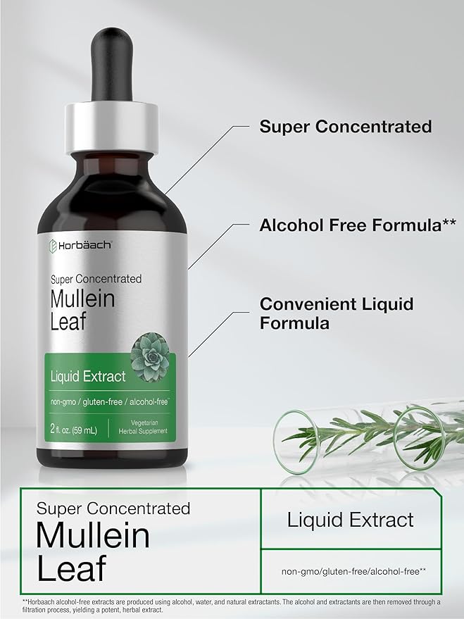 Horbäach Mullein Leaf Extract Drops | 2 fl oz | Alcohol Free Liquid Tincture | Vegetarian, Non-GMO & Gluten Free Herbal Supplement