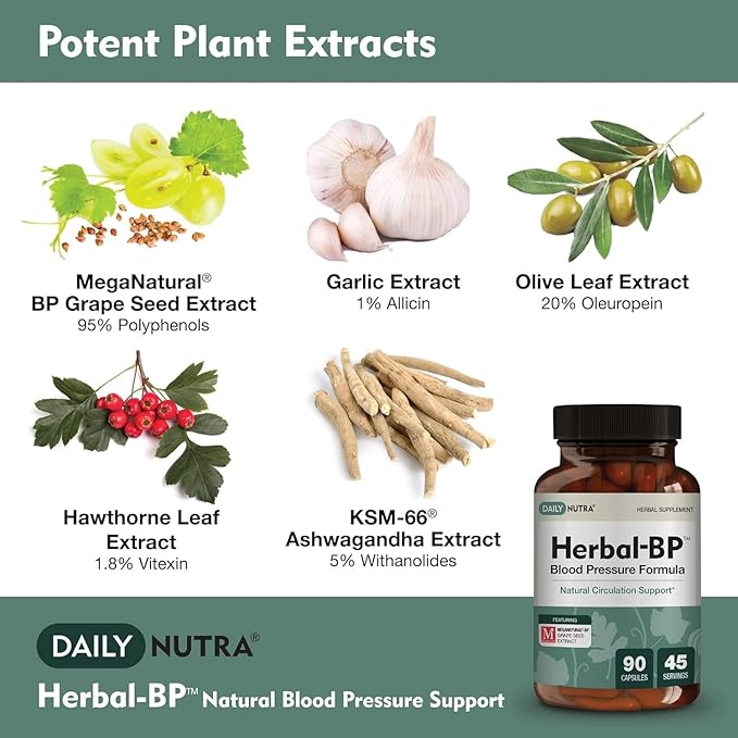 Herbal-BP Natural Blood Pressure Supplement - Supports Circulatory Health | Featuring Grape Seed Extract, Garlic, Hawthorn, Olive Leaf & Ashwagandha for Long-Term Support (3-Pack)