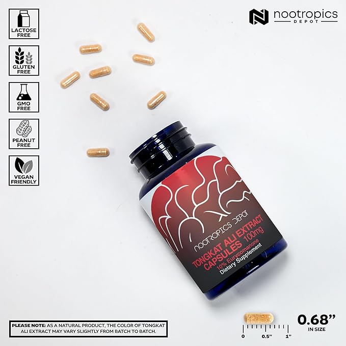 Nootropics Depot Tongkat Ali Extract Capsules | 100mg | 120 Count | 10% Eurycomanone by HPTLC | Eurycoma longifolia Root Extract