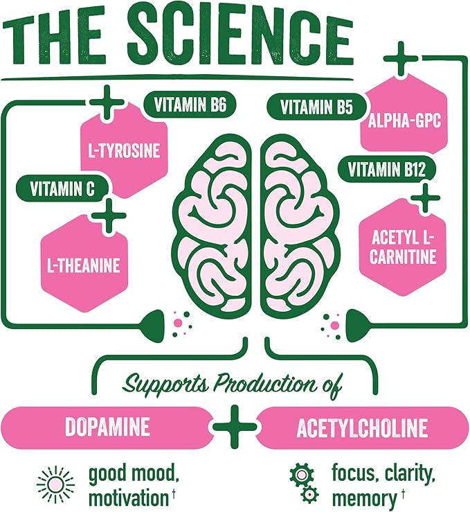 BrainJuice Nootropics Brain Support Supplement, Gluten Free Powder for Energy and Focus, Drink Mix with L Theanine, Alpha GPC, Vitamin B, Organic Green Tea Extract Caffeine, Watermelon, 15 Servings