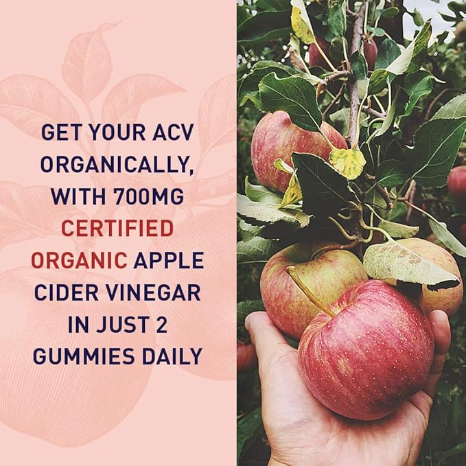 Garden of Life Apple Cider Vinegar Probiotic Gummies USDA Organic ACV Gummy Vitamins, 2 Billion CFUs, Whole Food Vitamin B12-60 Vegan, Non-GMO Gummies for Digestion & Immunity