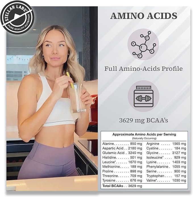 Stellar Labs Vegan Protein Powder with BCAA's & Antioxidants | Certified Low FODMAP, Non GMO, Gluten Free, Soy Free, Low Carb, with Stevia | Lean Plant Based Protein Powder Shakes | Chocolate
