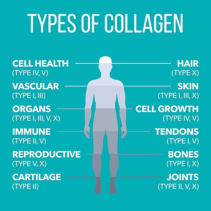 Natures Plus Collagen Peptides, Chocolate - 0.83 lb Powder - Hair, Skin, Nail & Joint Health, Immune System Support - Non-GMO, Gluten Free - 14 Servings