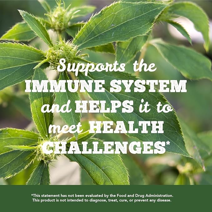 Deep Immune 5:1 Powder Extract 90 Caps - Natural Herbal Immune Support Booster - Non GMO, Vegan