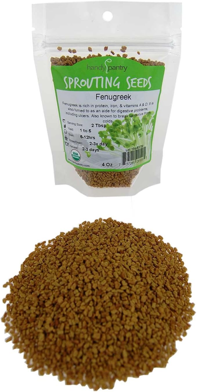 Organic Fenugreek Sprouting Seeds - 4 oz - Handy Pantry Brand - Seeds for Planting, Hydroponics, Growing Sprouts, Grinding for Spices & More