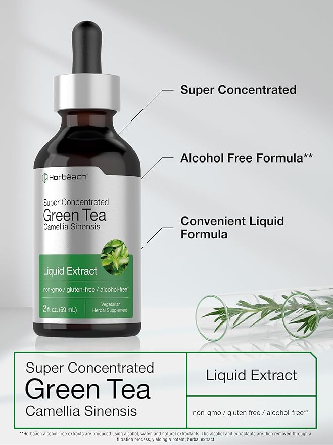 Horbäach Green Tea Extract Liquid | 2 Fl Oz | Alcohol Free, Vegetarian Tincture | Super Concentrated Supplement | Non-GMO, Gluten Free
