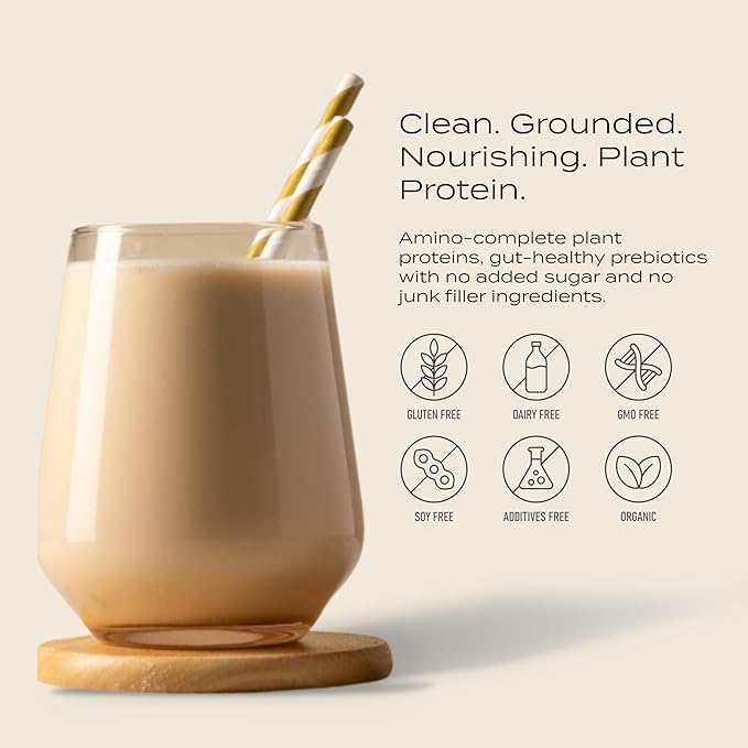 Plant Based Protein Powder | Vanilla Spice | 25g of Organic Vegan Protein | Prebiotic Fiber | Low Carb | No Added Sugar | Gluten & Dairy Free