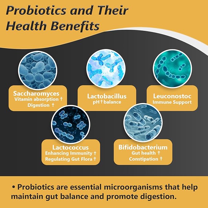 Organic Probiotics for Women & Men, 100 Billion CFU Probiotic for Digestive, Gut & Immune Health - with Prebiotics, Bioflavonoids & Digestive Enzyme, 35 Strains Raw Probiotic Supplement, 180 Caps