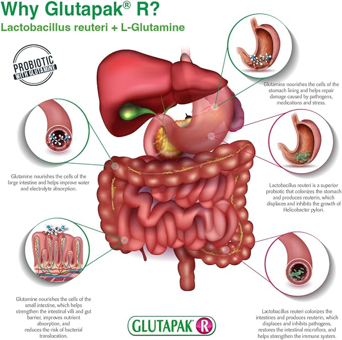 R Probiotics with Glutamine and Lactobacillus Reuteri, 15g per Packet - 50 Packets