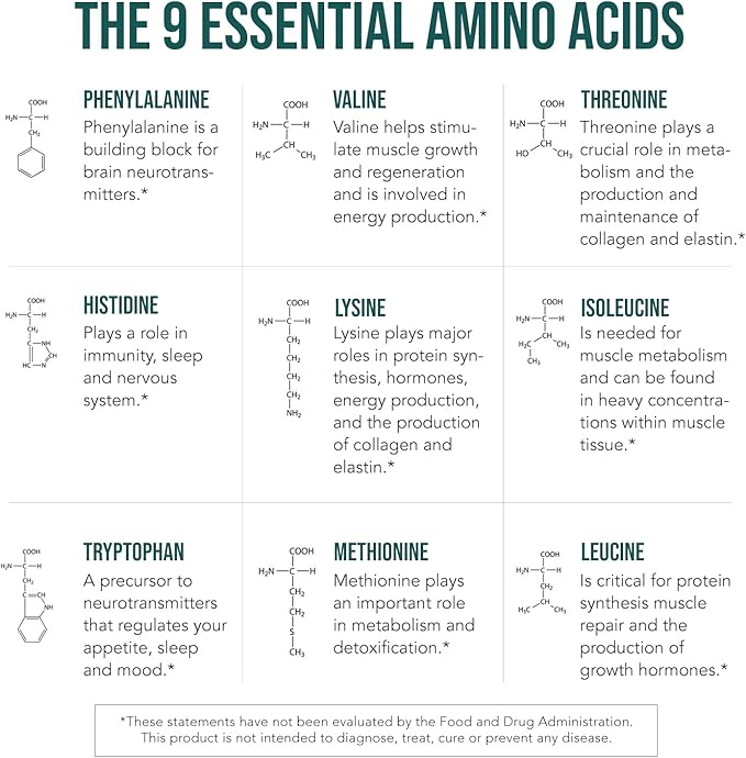 Plant Aminos Organic Essential Amino Acids (EAAs) & BCAA - 100% Plant-Based Raw, Vegan - All 9 Amino Acids with 18 Total Amino Acids (360 Tablets)