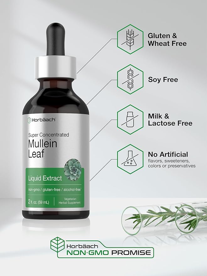 Horbäach Mullein Leaf Extract Drops | 2 fl oz | Alcohol Free Liquid Tincture | Vegetarian, Non-GMO & Gluten Free Herbal Supplement