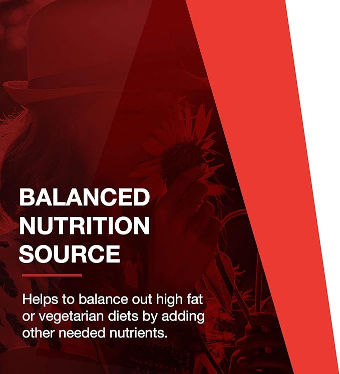 PROTOCOL FOR LIFE BALANCE L-Carnitine 500mg - Cell Energy Metabolism - Exercise Performance, Recovery - 60 Veg Caps