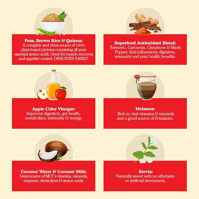 Meal Replacement Shakes, 21g Protein, Vegan Plant Based Protein Powder, Digestive Enzymes, All in One Shake (15 Servings, Turmeric Curcumin Cream)