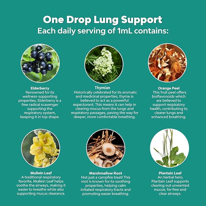 2 Pack Mullein Leaf Extract - Support Lung Cleanse,Tincture Drops | Non-GMO, Vegetarian - Support Lung Cleanse & Respiratory Function for Healthy Breathing