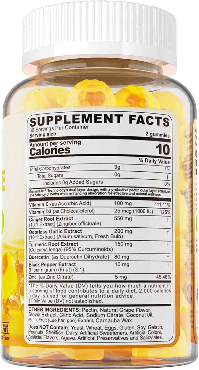 Ginger Chews Supplement Gummies for Nausea, Stomach Relief - Sugar Free with Turmeric & Odorless Garlic, Quercetin, Vitamin D3, Ultra Absorption for Digestive Support - 60 Count (Pack of 1)