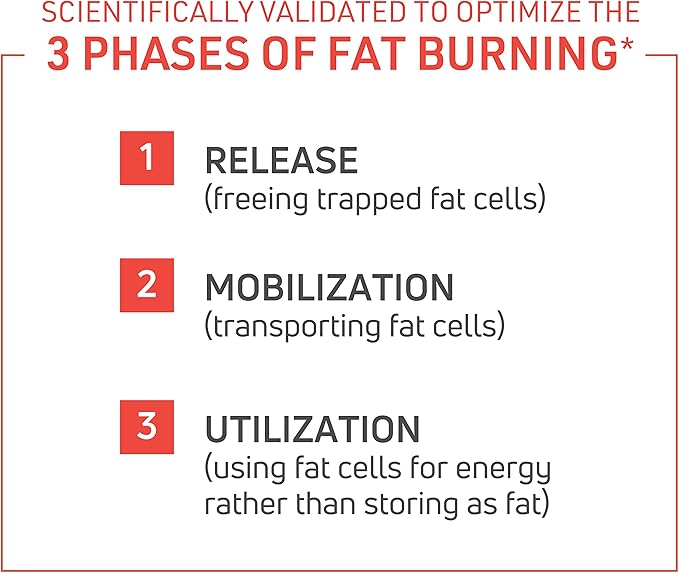 Novex Biotech ThermoDyne - Thermogenic Fat Burner – Appetite Suppressant – Metabolism Boost – Burn Calories – Energy Booster – Fat Burning Pills – Promote Lean Muscle Tone - 30-Day Supply