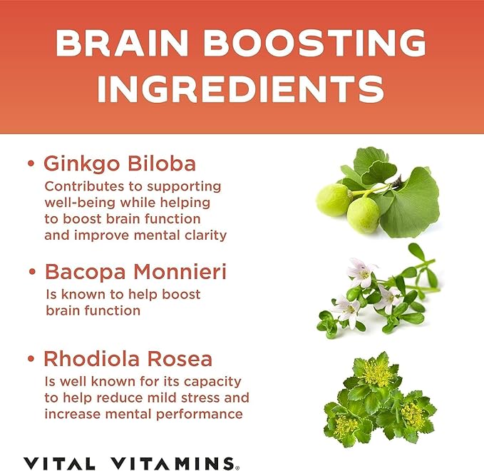 Vital Vitamins Brain Supplements for Memory and Focus (2-Pack)– Nootropic Brain Booster with Ginkgo Biloba, Rhodiola, B12 – Caffeine-Free Support for Adults & Seniors – 60-Day Supply