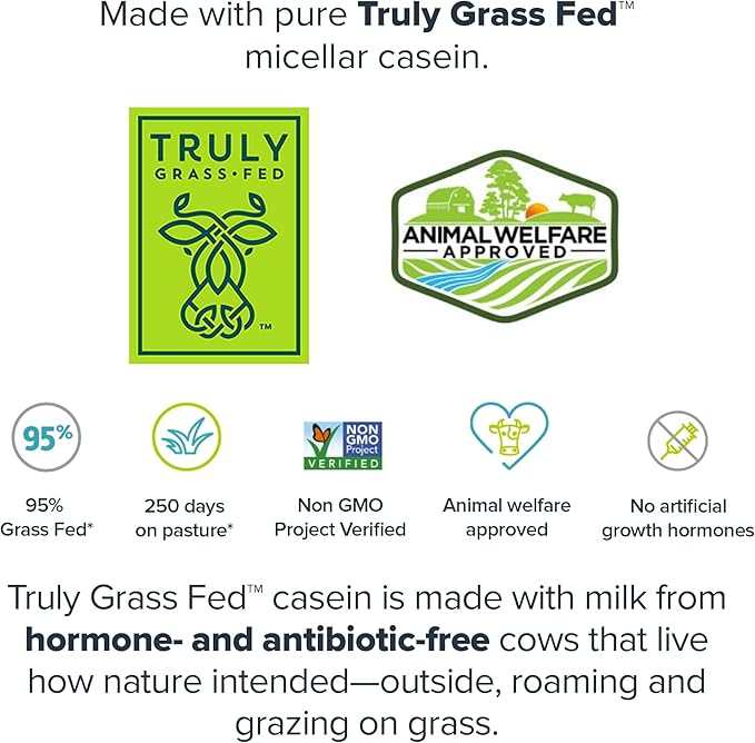 LEGION Casein+ Casein Protein Powder (French Vanilla) - Slow-Release Micellar Casein Protein Powder - Non-GMO, Gluten-Free & Naturally Sweetened Casein Powder from Grass-Fed Cows (30 Servings)