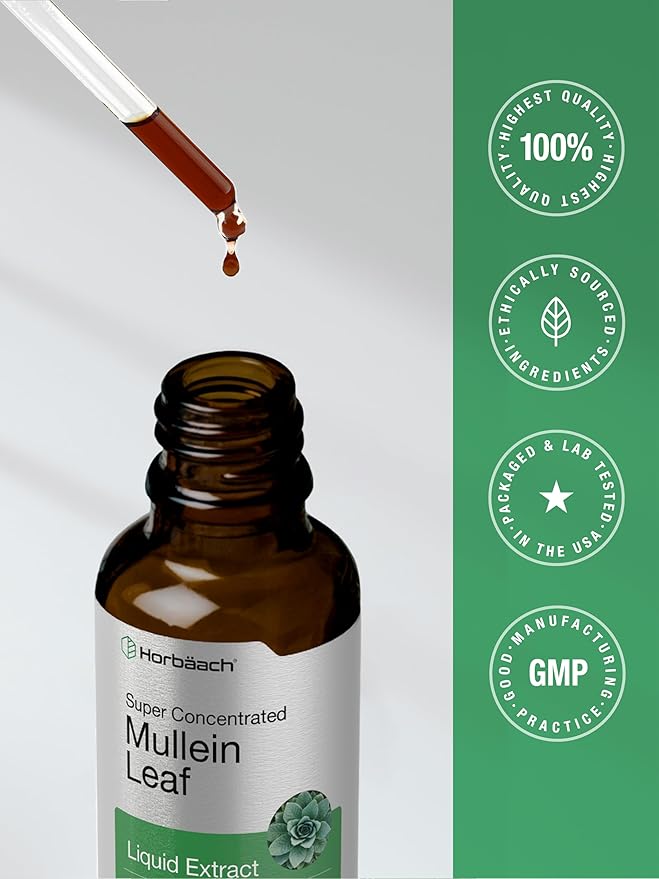 Horbäach Mullein Leaf Extract Drops | 2 fl oz | Alcohol Free Liquid Tincture | Vegetarian, Non-GMO & Gluten Free Herbal Supplement