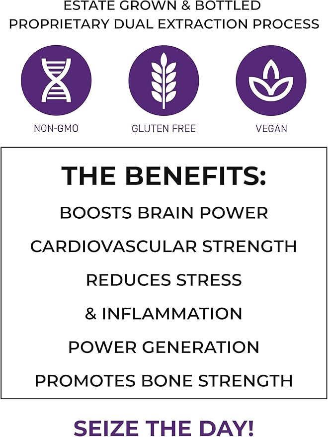 Morning Rush - Lion’s Mane, Turmeric & Ashwagandha Extract Blend - Mushroom Supplement for Focus & Energy Support - 120 Capsules