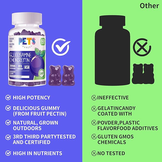 Glucosamine Chondroitin Gummies with MSM & Elderberry Extra Strength - Joint Support, Antioxidant Immune Support Supplement for Adults, Men & Women.(2 Pack) Blueberry