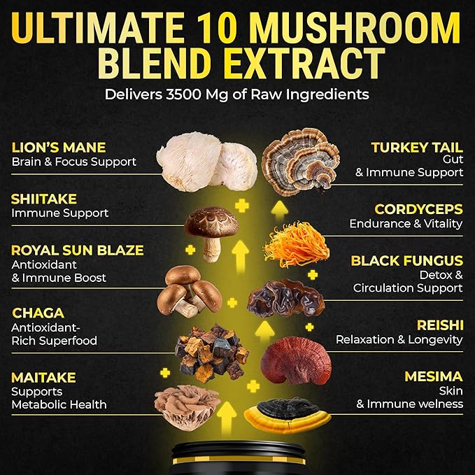 Organic Mushroom Complex with Shilajit & Coconut Oil - Lion’s Mane Mushroom Supplement with Ashwagandha and L-Theanine - Mushroom Nootropic for Memory, Focus & Immune Mushroom Capsules Softgels