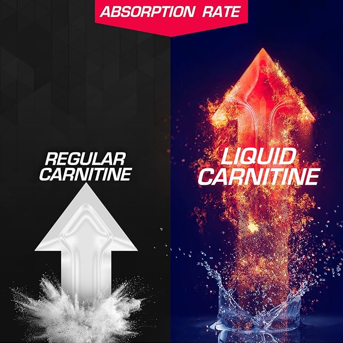 EFX Sports L-Carnitine Liquid 1500mg, Improve Performance and Strength, Vitamin B5 (31 Servings, Fruit Punch)