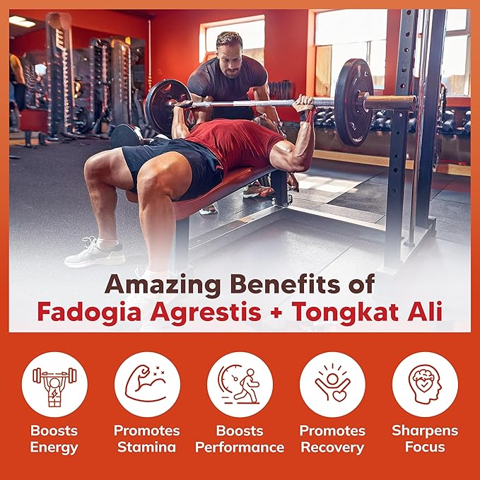 aSquared Nutrition Fadogia Agrestis 1000mg & Tongkat Ali 400mg - 120 Capsules - Fadogia Agrestis Extract Supplement and Powder Complex Pills