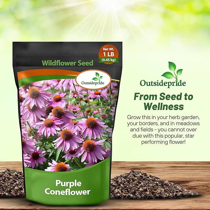 Outsidepride Purple Echinacea Coneflower Seeds - 1 lb Perennial, Deer-Proof & Drought Tolerant Flower Seeds with Daisy-Like Blooms for Pollinator-Friendly Gardens, Borders, & Meadows