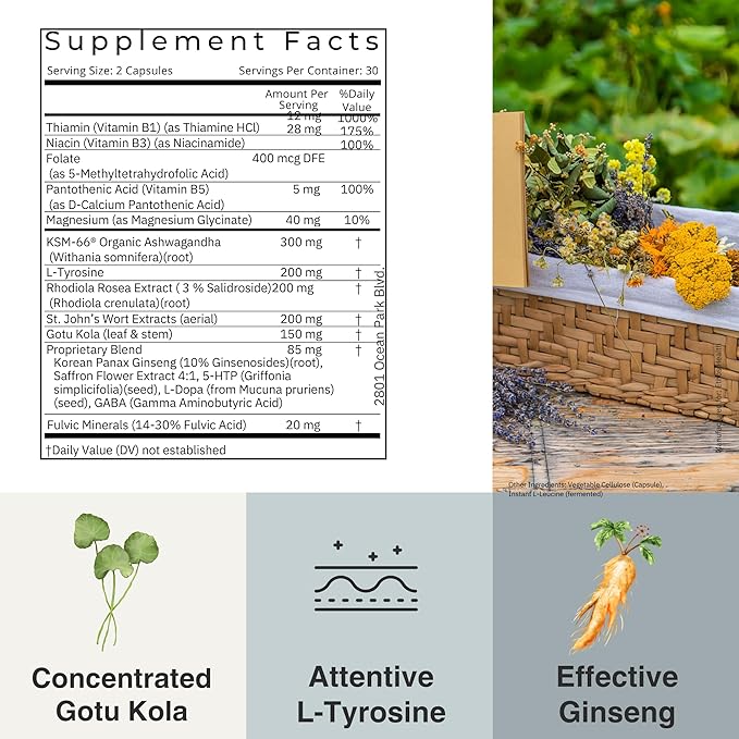 Dr. Scott’s Mood Support Supplement with KSM-66 Organic Ashwagandha Extract, St John’s Wort, Rhodiola Rosea, Saffron, Panax Ginseng, Gotu Kola, Doctor-Formulated, Non-GMO,Gluten-Free 60 Vegan Capsules