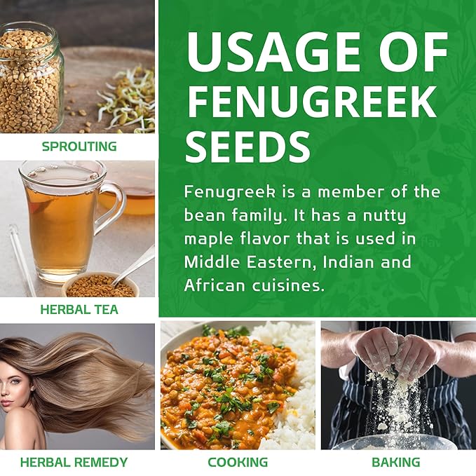 Jiva Organic Fenugreek Seeds 2.5 LB Bulk - Non-GMO, Gluten Free, Non Irradiated Whole Methi Seeds (Fenogreco En Semillas)