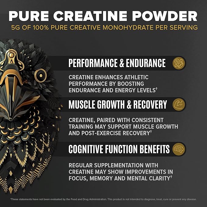 Falcon Performance Vegan Protein Powder, 31g Protein, 5g Creatine, 5g BCAA, Probiotics, Electrolytes, Pre Workout, Low Carb, Sugar Free & Dairy Free, Plant Based Vanilla Protein, 30 Servings