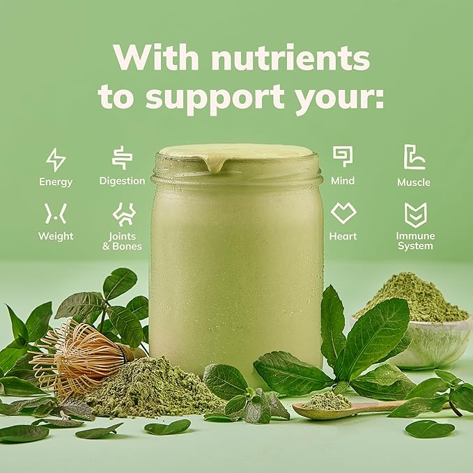 Ka’Chava All-In-One Nutrition Shake Blend, Matcha, 15 Servings, 85+ Superfoods & Nutrients, Meal Replacement, Greens Plant-Based Superfood Powder Protein Drink, Digestive Enzymes & Probiotics, Vegan Dairy Gluten Free