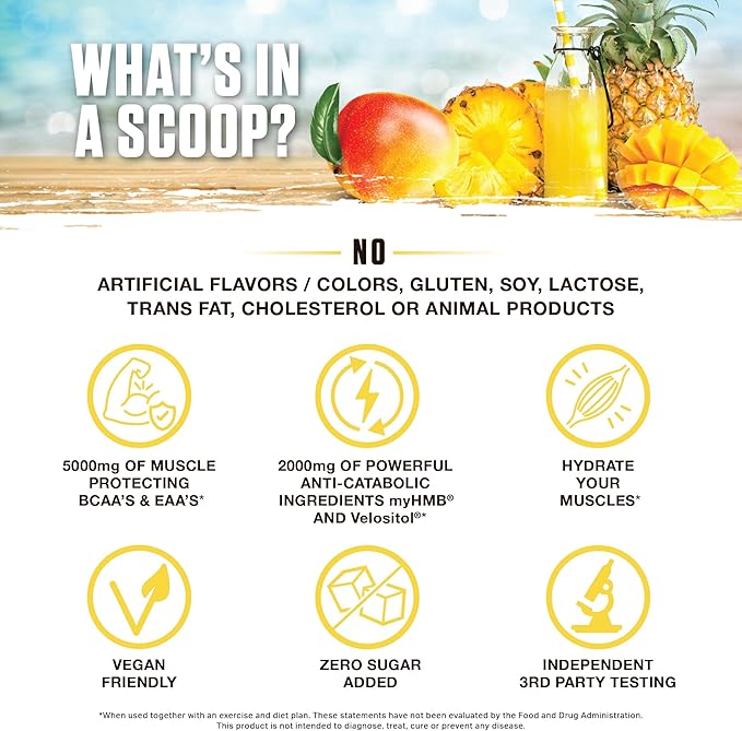 Ambrosia Hydroglyph Intraworkout Formula w/BCAA + EAA + Electrolytes Hydration Powder to Protect Lean Muscle, 0g Sugar Fasting Hydration Drink Mix, Made w/Coconut Water (Pineapple Mango)