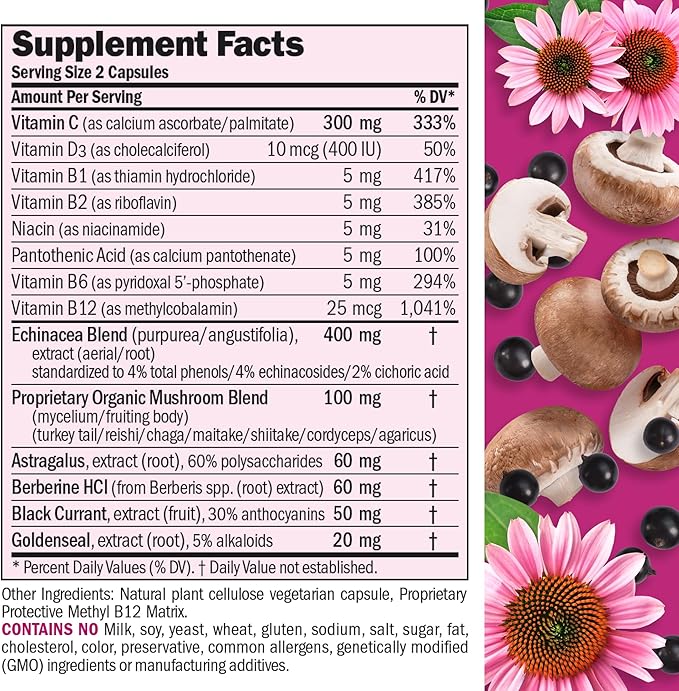 ANDREW LESSMAN Immune Factors 30 Capsules – Echinacea, Goldenseal, Vitamin C, Astragalus, Berberine, Mushroom Blend, Black Currant. Supports and Promotes Immune System and Natural Defenses