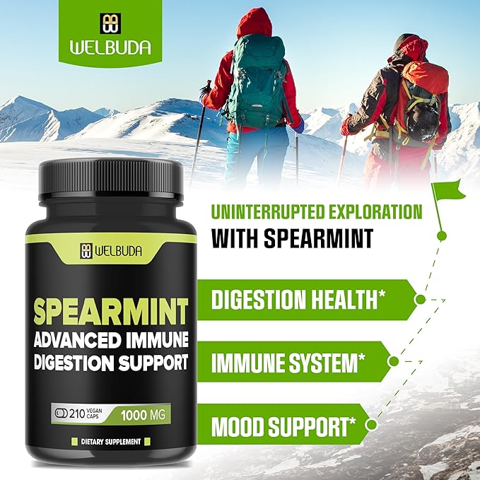 210 Capsules - Spearmint Supplement with Olive Leaf, Ginger Root, Black Pepper & More - Combined Formula for Digestion Health, Respiratory Health, Immunity & Positive Mood Support